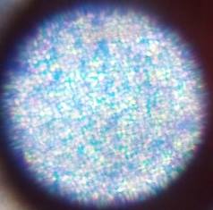 agronom 7
