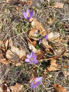 planina 14