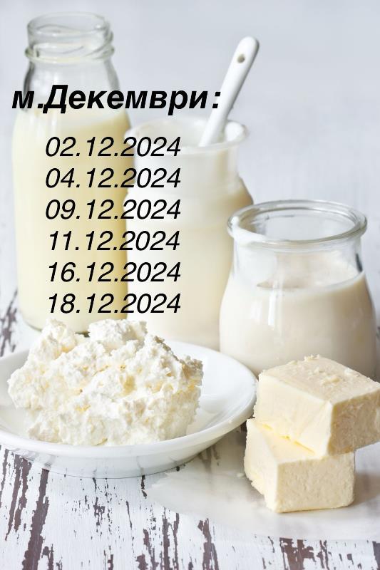 meseci-12